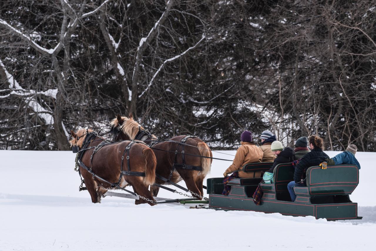 Carriage Ride through Woodstock Woodstock VT